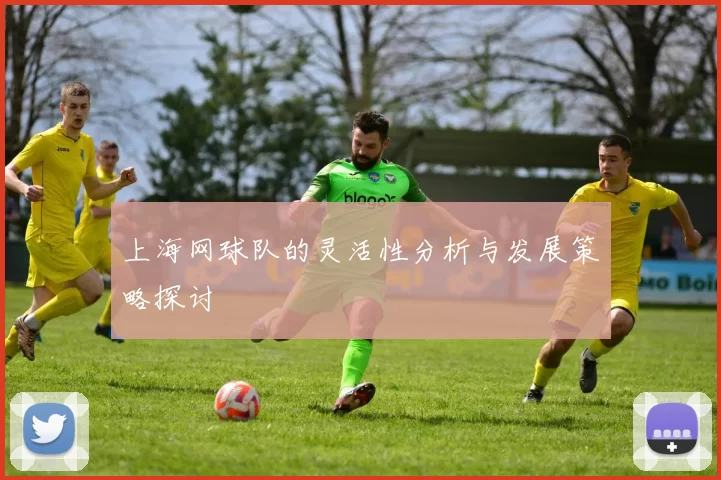 上海网球队的灵活性分析与发展策略探讨