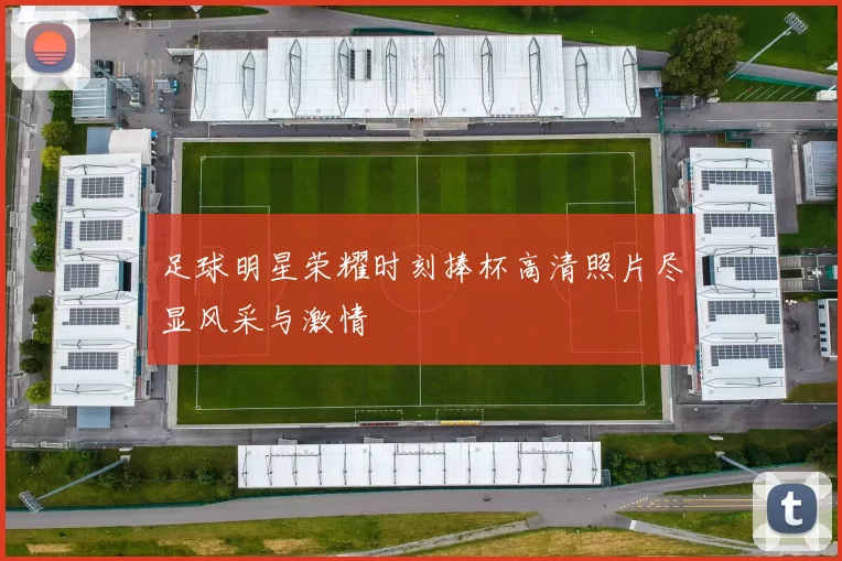 足球明星荣耀时刻捧杯高清照片尽显风采与激情