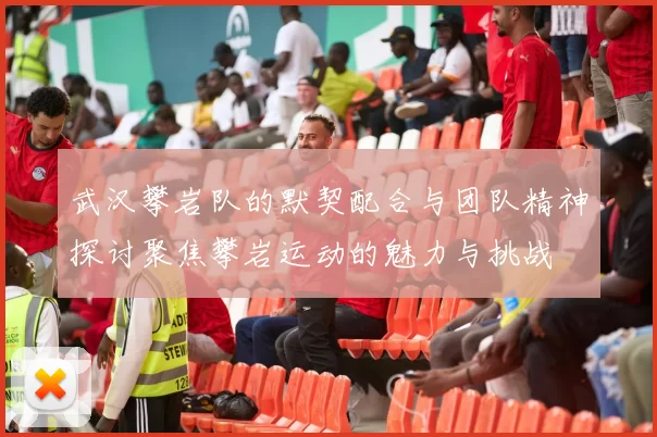 武汉攀岩队的默契配合与团队精神探讨聚焦攀岩运动的魅力与挑战