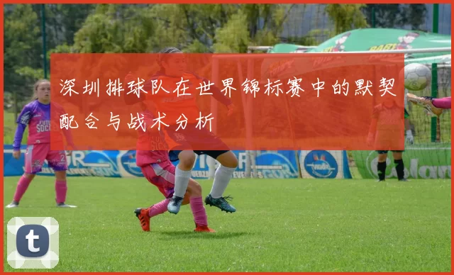 深圳排球队在世界锦标赛中的默契配合与战术分析