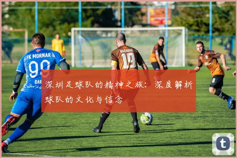 深圳足球队的精神之旅：深度解析球队的文化与信念